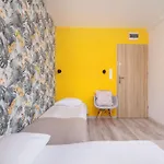 Bright Close To The Center Of By Rent Like Katowice
