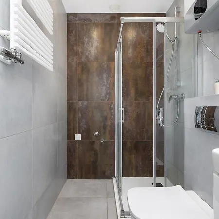 Bright Close To The Center Of By Rent Like * Katowice