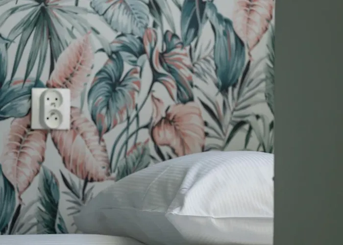 Bright Close To The Center Of By Rent Like דירה קטוביץ