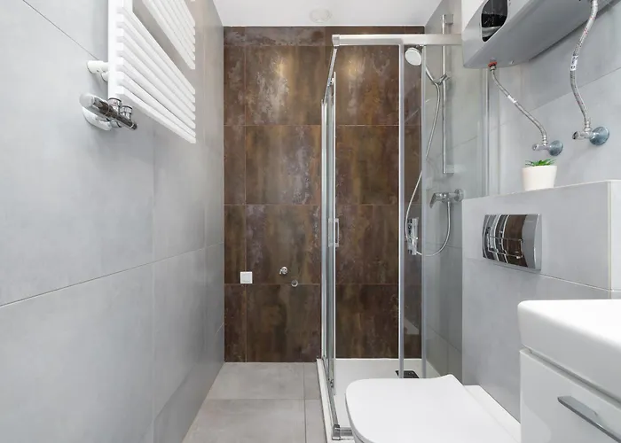 Bright Close To The Center Of By Rent Like * קטוביץ