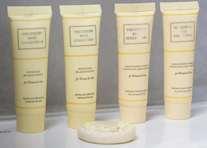 Bright Close To The Center Of By Rent Like