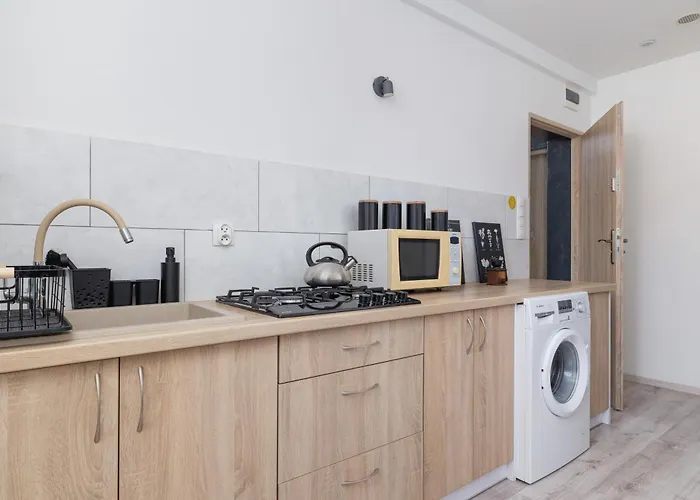 Bright Close To The Center Of By Rent Like דירה קטוביץ