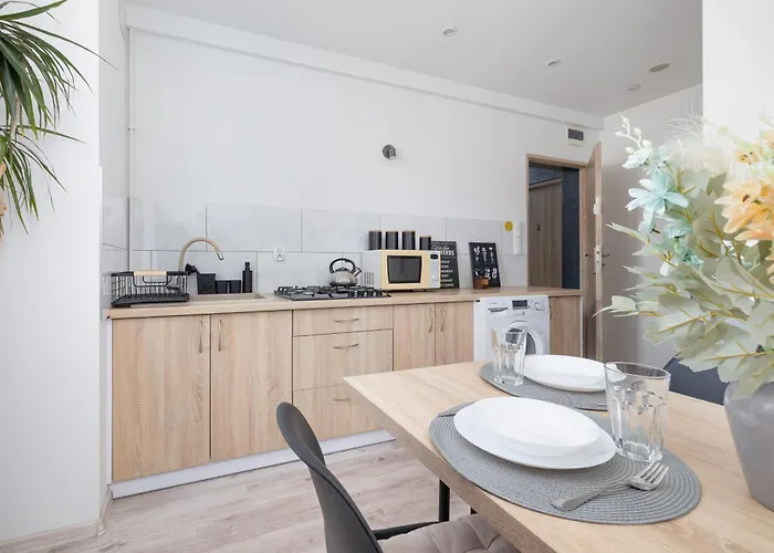 Bright Close To The Center Of By Rent Like * קטוביץ