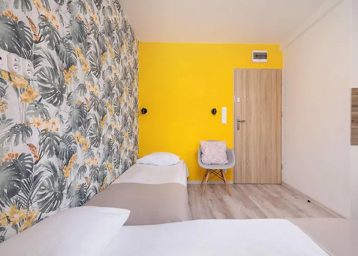 Bright Close To The Center Of By Rent Like קטוביץ